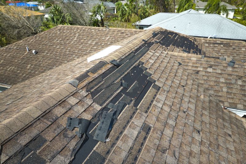 Shingle Replacement and Restoration